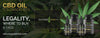 CBD Oil Colorado (CO)- Legality, Where to Buy & FAQs